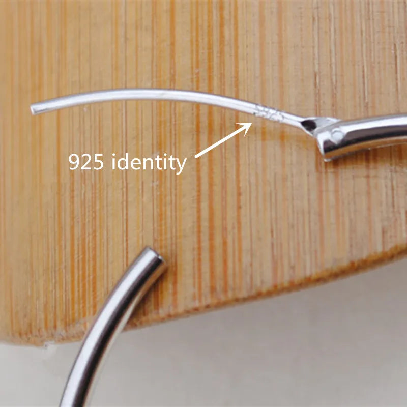 925 Sterling Silver Round Circle Earrings